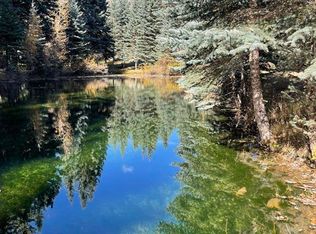 3 Boletus Creek Dr, Bayfield, CO 81122