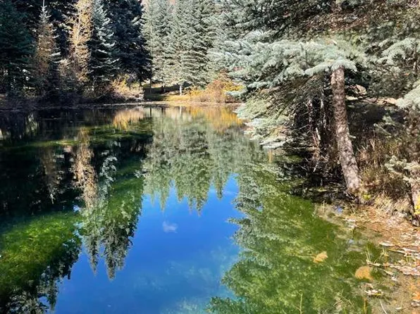 3 Boletus Creek Drive, Vallecito Lake/Bayfield, CO 81122