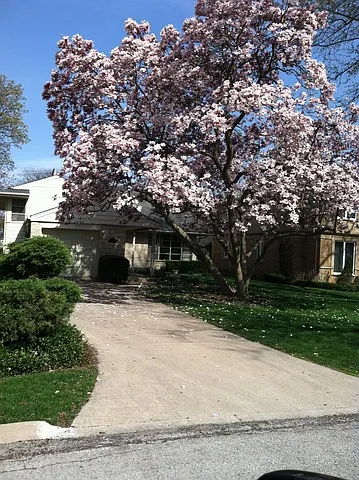 15 N Quincy St photo 1
