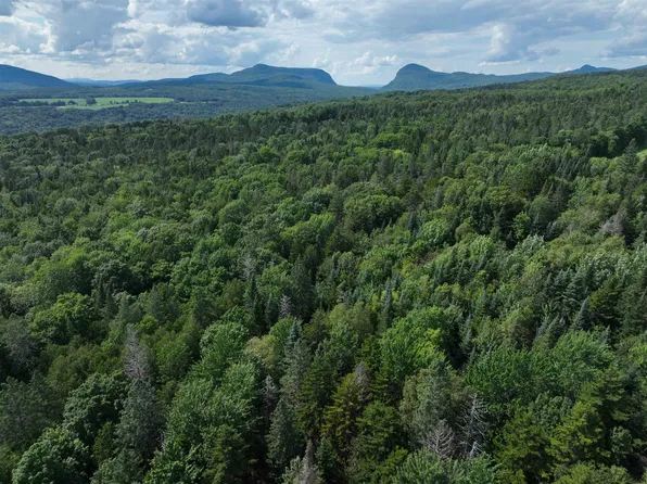 0 White Birch Acres Drive #1C, Burke, VT 05871