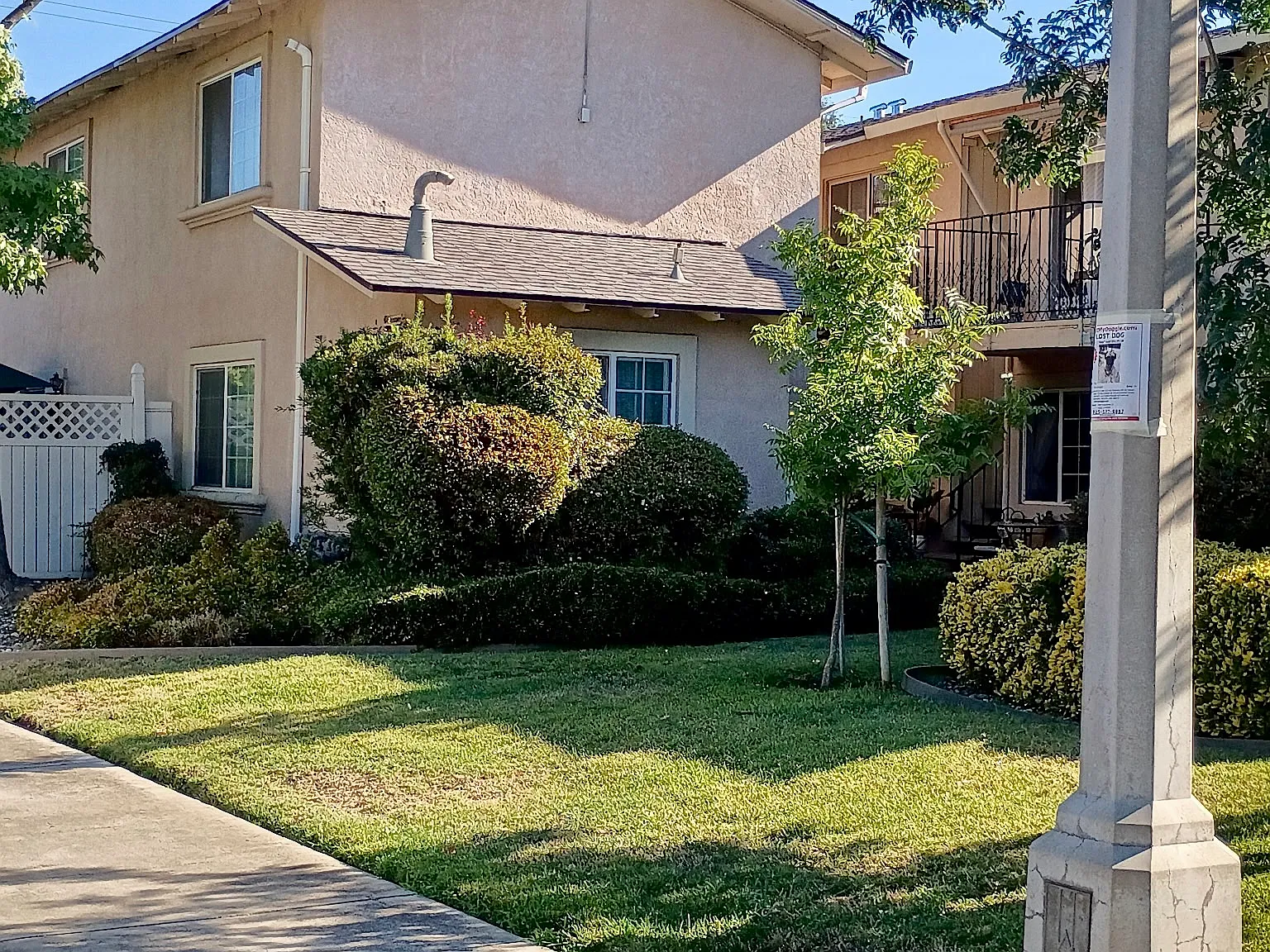 1 bed, 600 sqft, $1,275 — Photo 1