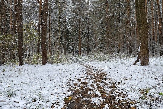 1st image of 0 Spring Rd S Lot 11