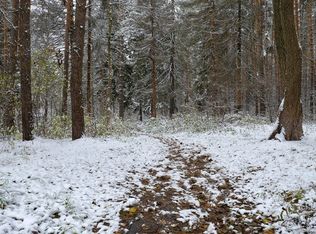 0 Spring Rd S Lot 11, Dansville, NY 14437