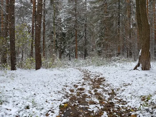 0 Spring Rd S Lot 12, Dansville, NY 14437