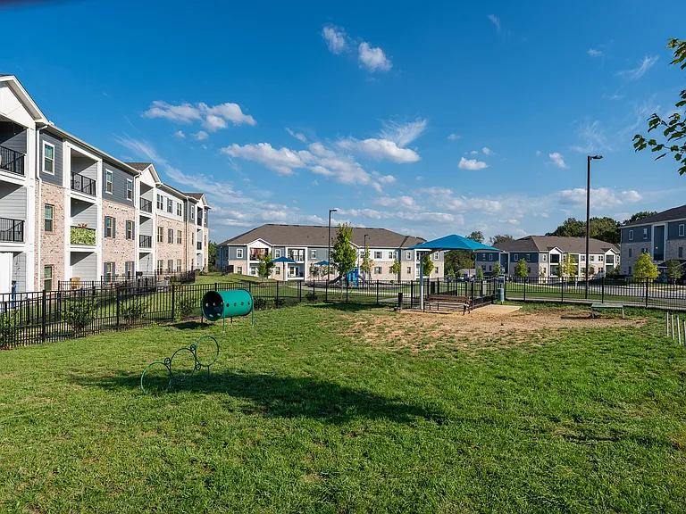 Expansive Dog Park