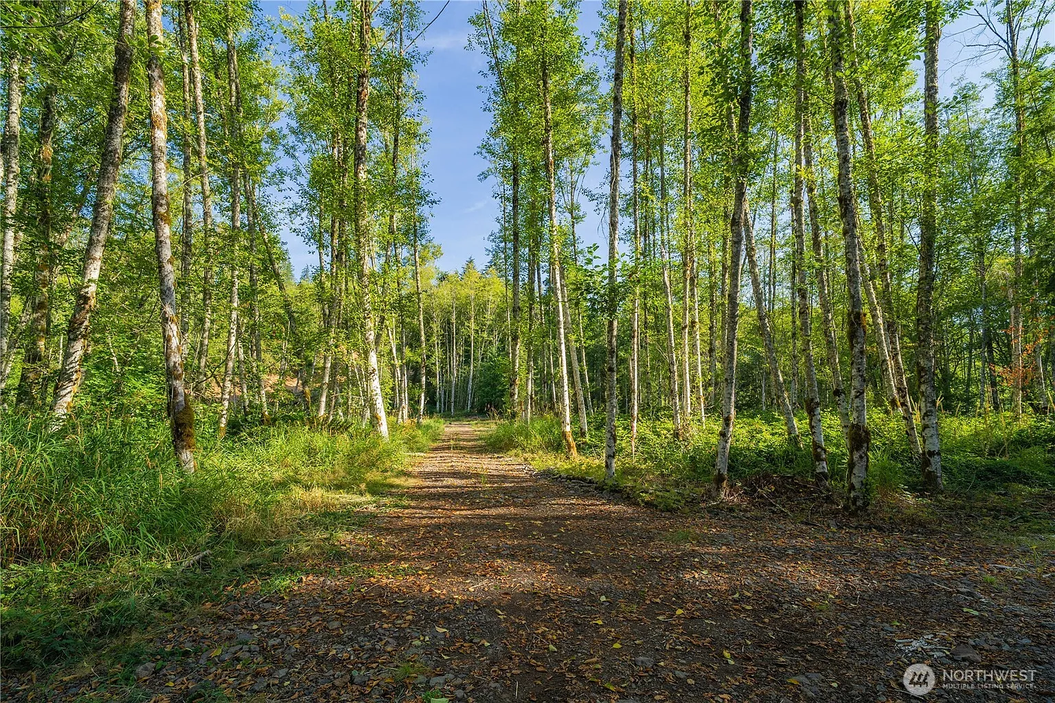 4311 State Route 508 photo 1