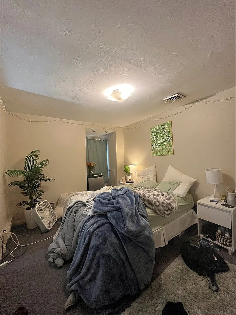 8 Person House Blocks From Chauncey Village and Campus Bars!! — Photo 4