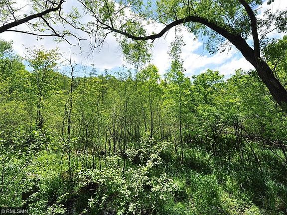 Enjoy the abundant wildlife and birds out back.