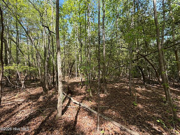 4th image of 1012-1012R Cedar Ln Lot 1012R