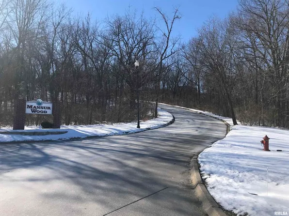 813 Rebecca Pl, Carbon Cliff, IL 61239