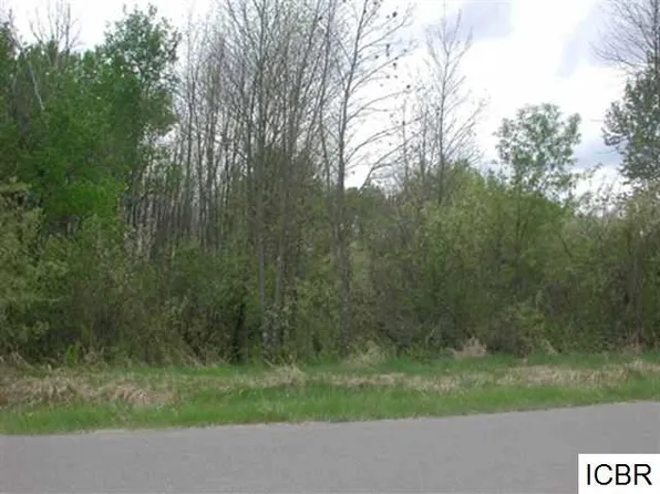 LOT 4 Aspen Dr, Deer River, MN 56636