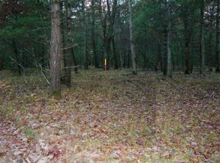 N Astor Rd, Baldwin, MI 49304