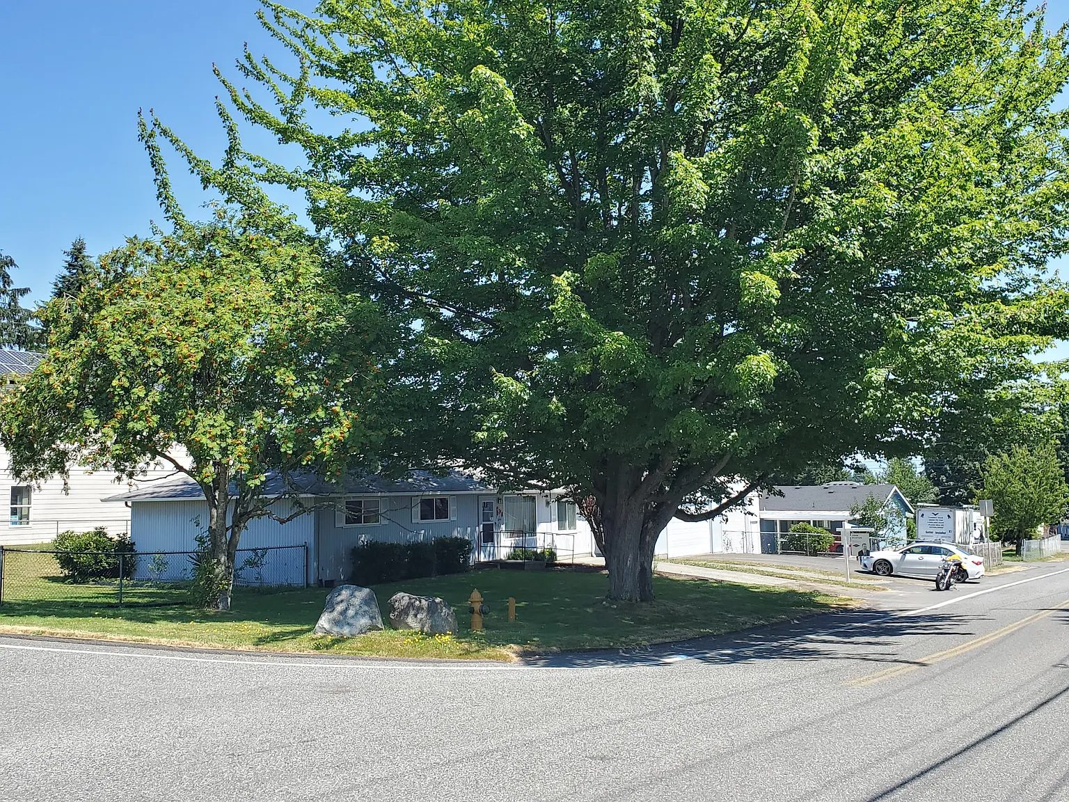 3 bed, 1.5 bath, 1200 sqft, $2,800 — Photo 3