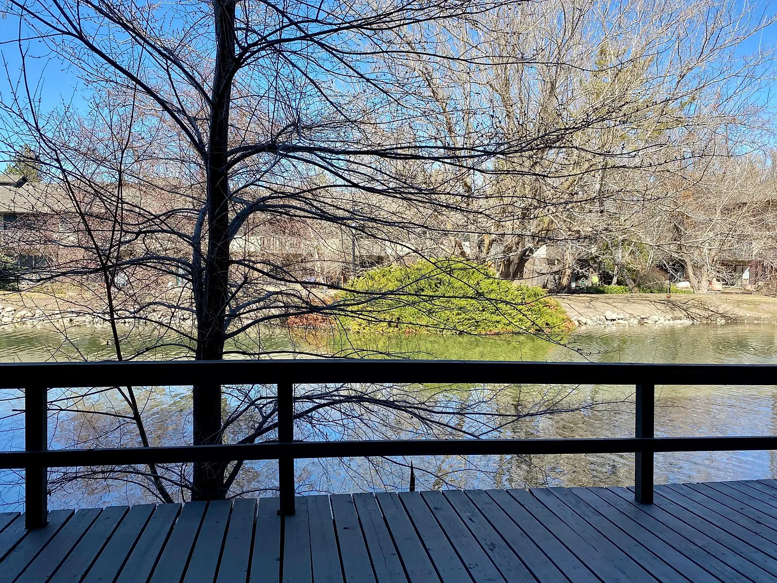 2 bed, 1200 sqft, $1,995 — Photo 1