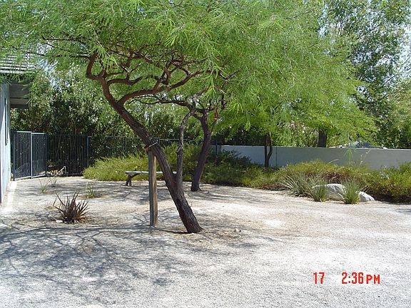 Back yard 4