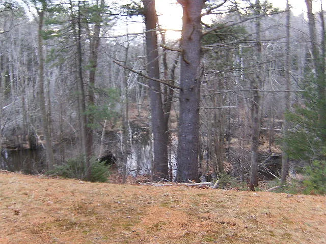 View of back yard