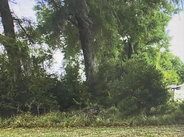 State St Lot 254, Center Hill, FL 33514
