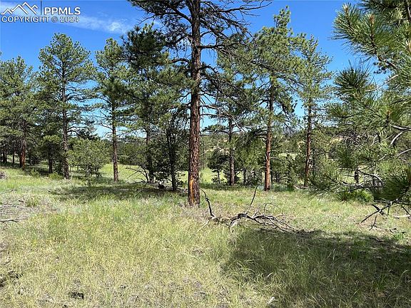 3rd image of 1012 Iron Mountain Rd