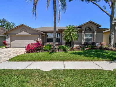 18533 Avocet Dr, Lutz, FL, 33558