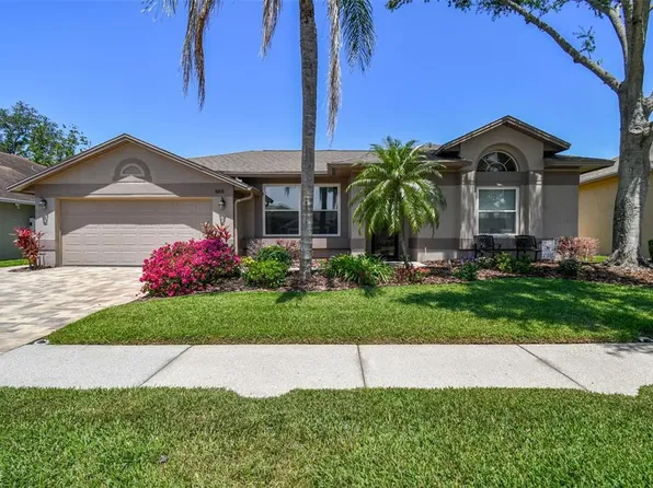 18533 Avocet Dr, Lutz, FL 33558