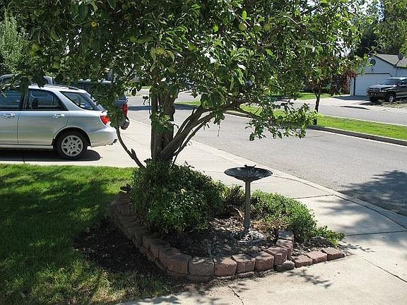 Front Yard next to Driveway