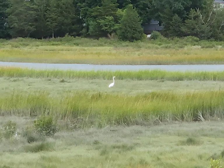 The Overlook — Photo 21