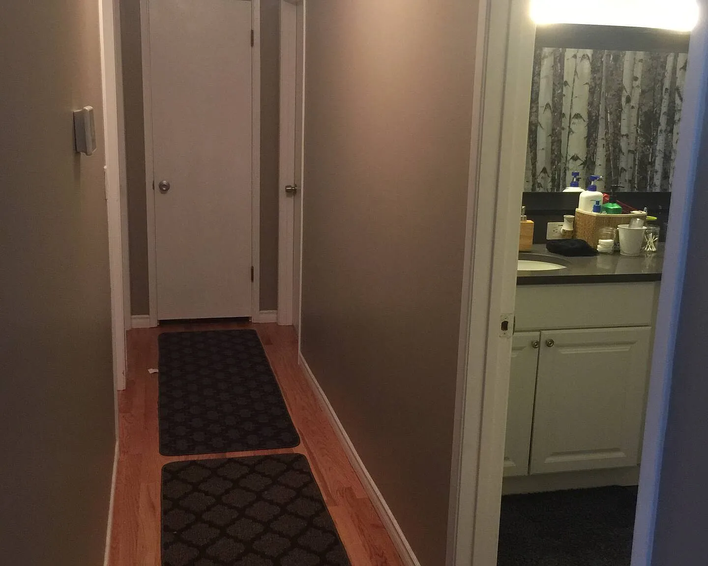 1 bed, 1025 sqft, $1,200 — Photo 4