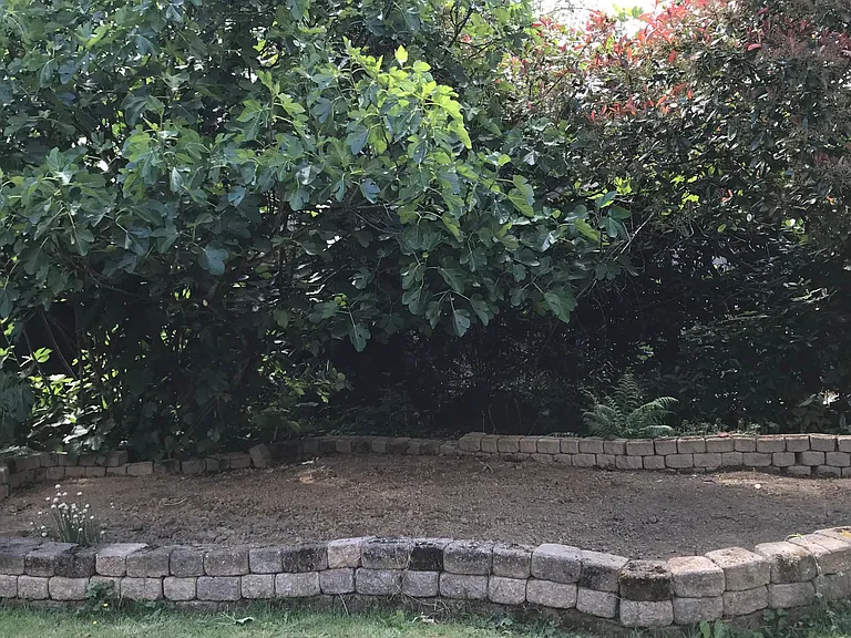 Backyard Garden