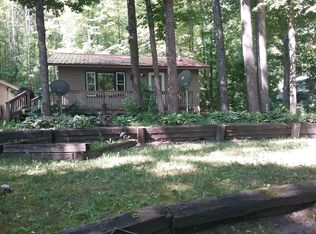 6672 Haz Dr, Afton, MI 49705