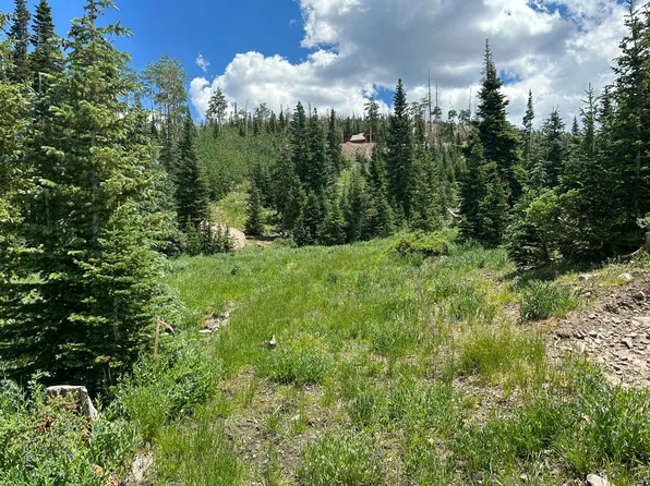 1014 E Autumn Dr, Brian Head, UT 84719