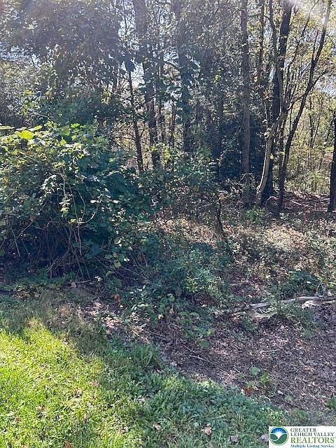 2nd image of 731 Yellow Run Rd
