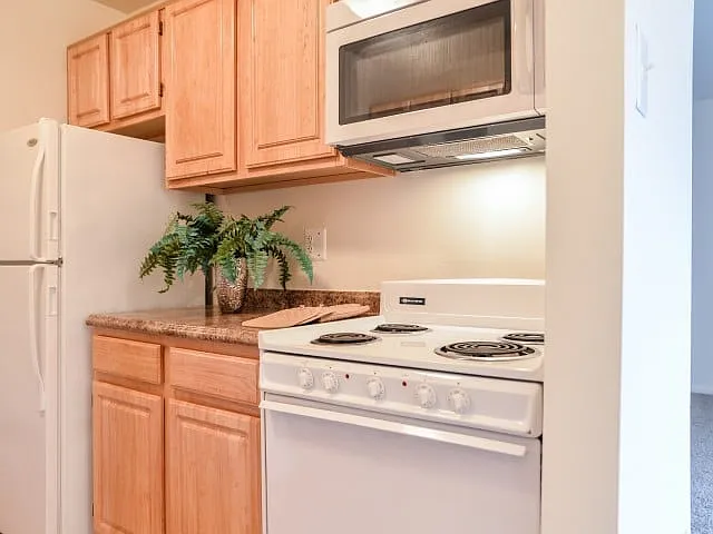 Maple kitchen-built in microwave