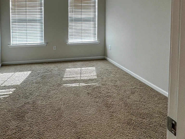 909 Robbie Jackson Ln — Photo 11