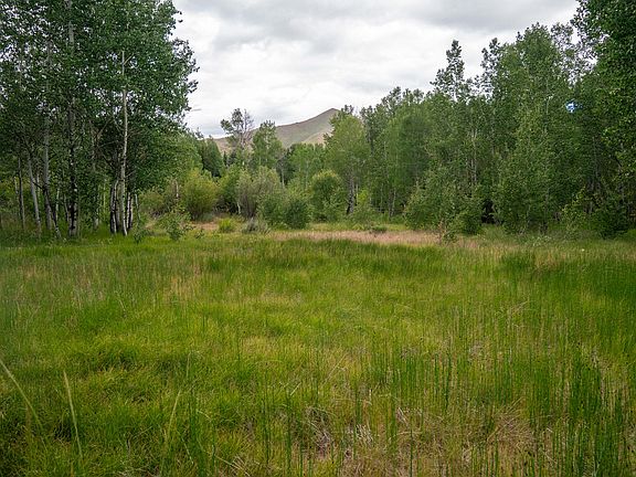 5th image of 135 Bullion Gulch Rd