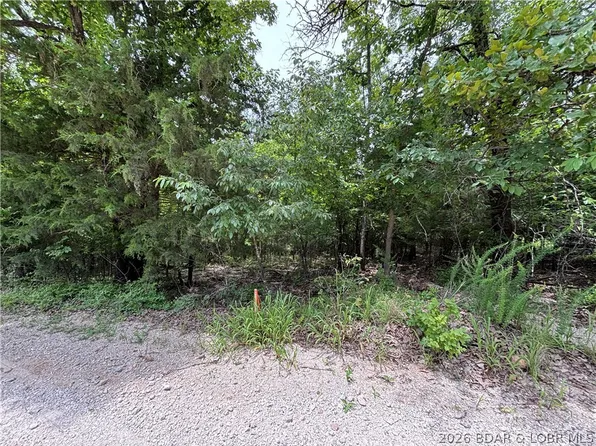 31222 Idyll Acres, Gravois Mills, MO 65037