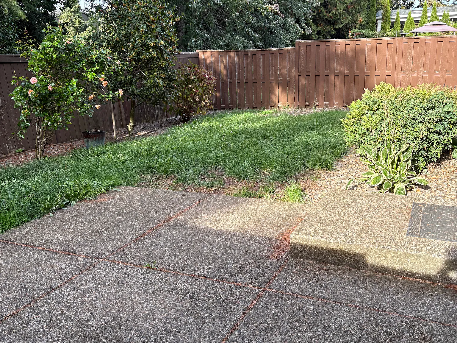 4 bed, 2286 sqft, $3,150 — Photo 3