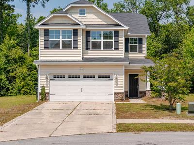 154 Poplar Branch Way, Hampstead, NC, 28443