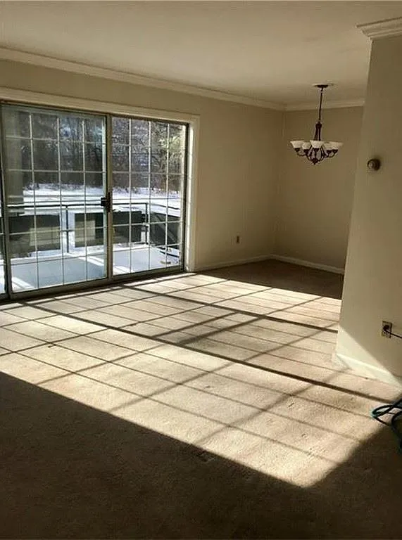 610 Maple Ln APT 3 photo 1