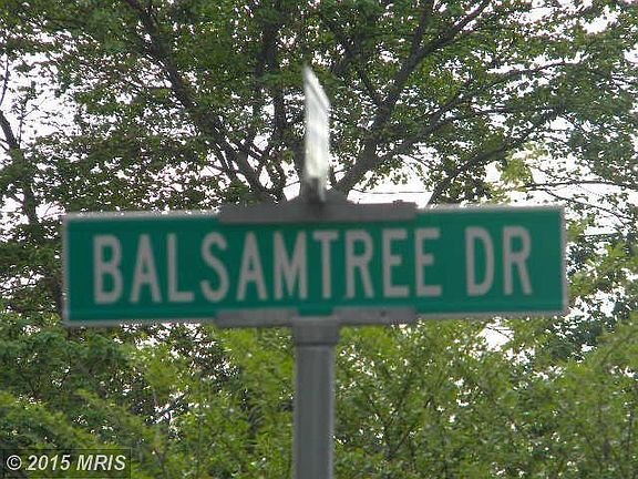 5th image of 813 Balsamtree Dr