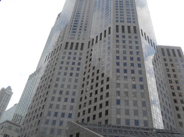 (undisclosed Address), Chicago, IL 60611