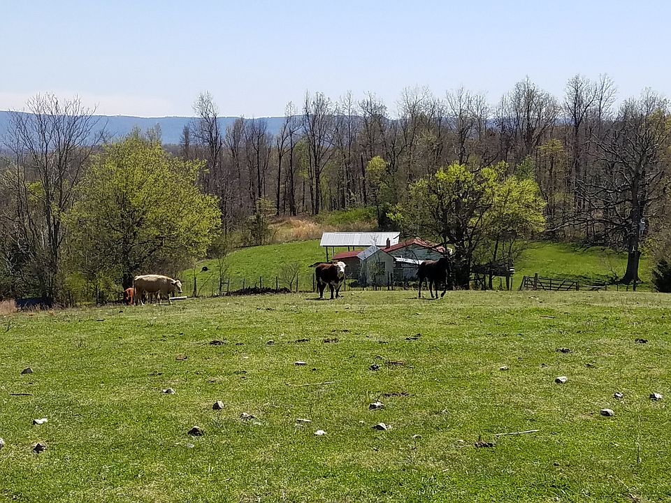 Property looking at house