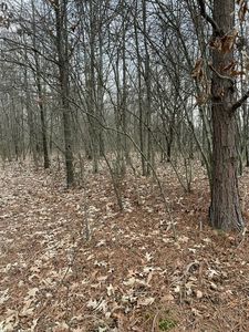 Sfc #358, Forrest City, AR, 72335