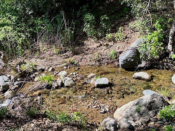 2nd image of 0 Avenue Ranch Rd Lot 4