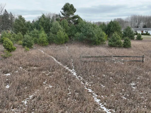 1022 Bundy Dr, Weidman, MI 48893