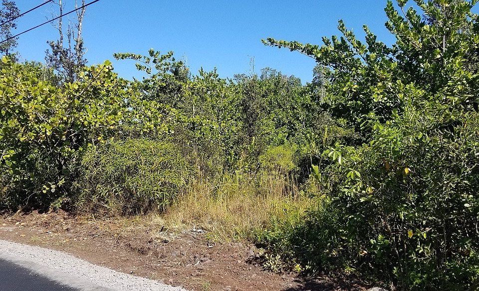 1st image of 1st Ave Lot 2987