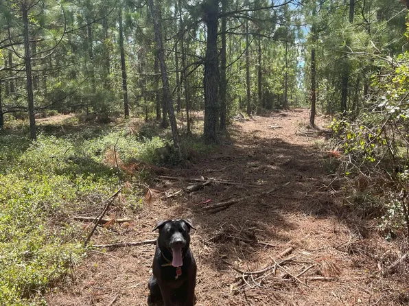 Ppf 9 Payne Pond Rd #Ppf-9, Kershaw, SC 29067