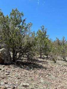 32727 W Bucks Rd, Seligman, AZ, 86337