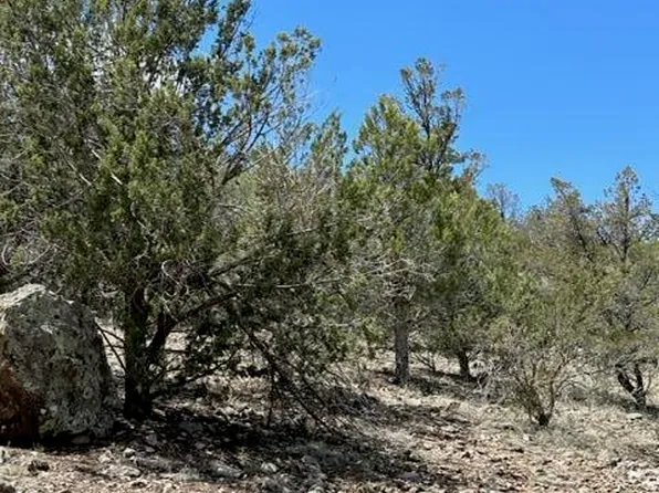 32727 W Bucks Rd, Seligman, AZ 86337