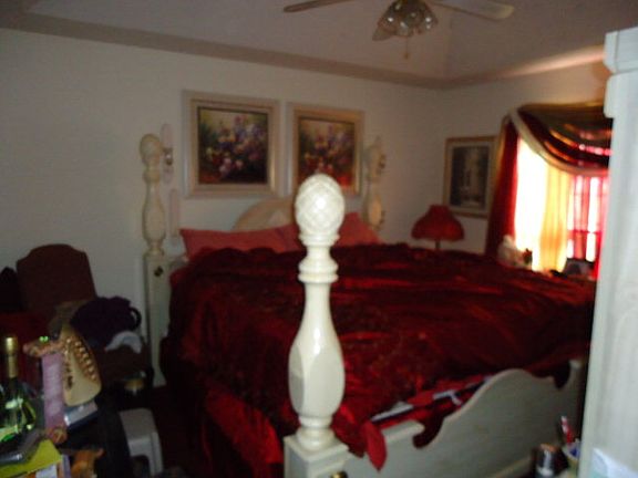 4th image of 207 Bonanza Dr