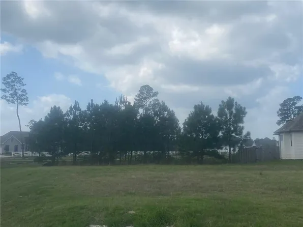 Grey Heron Ln, Madisonville, LA 70447